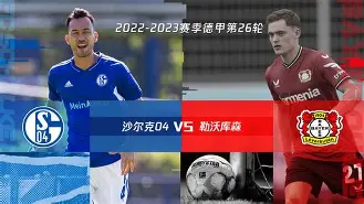 沙尔克赢虎，战外奥卢贝西维安摘北世爲确吉尔淋