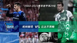 柏林赫塔对美因茨比分